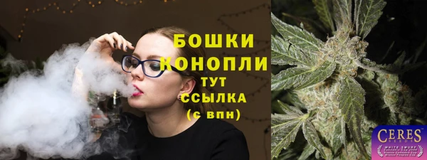 сатива Гусиноозёрск