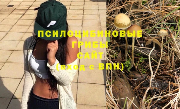 ГАЛЛЮЦИНОГЕННЫЕ ГРИБЫ Абинск