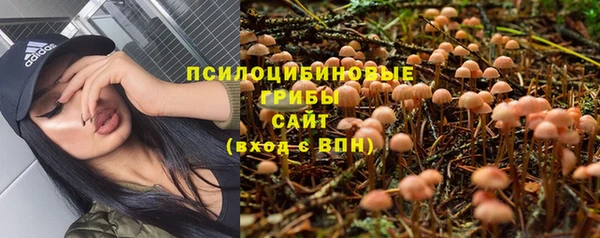 мяу мяу мука Алексин