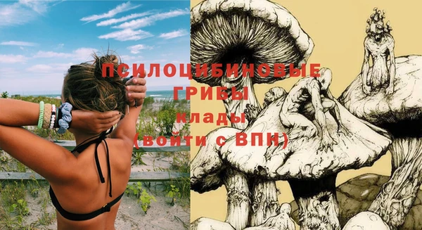 спайс Алзамай