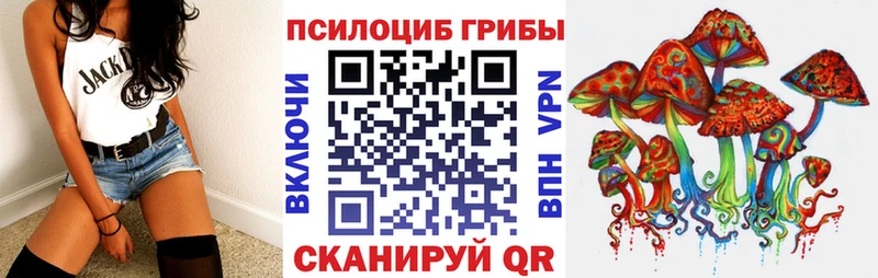 hydra маркетплейс  как найти наркотики  площадка формула  Псилоцибиновые грибы Psilocybe  Богородск 