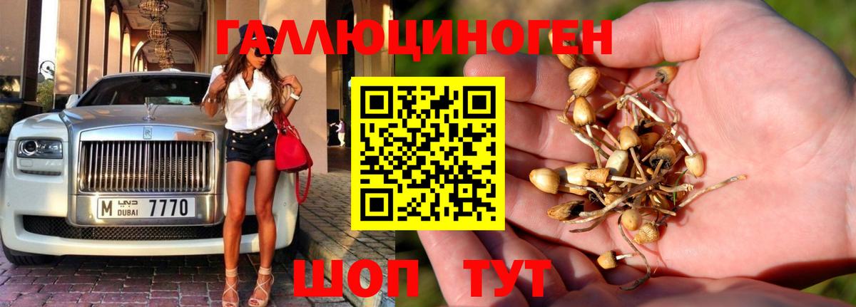 Псилоцибиновые грибы Magic Shrooms  Вход с VPN  Богородск 
